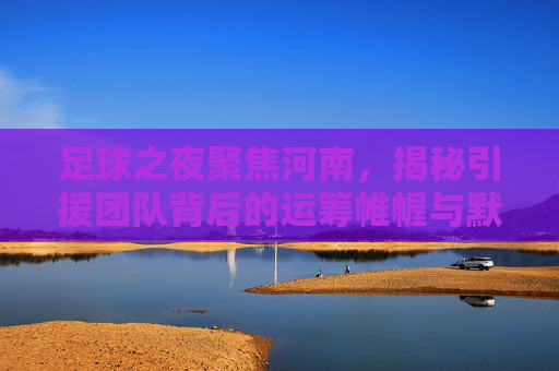 足球之夜聚焦河南，揭秘引援团队背后的运筹帷幄与默默坚守