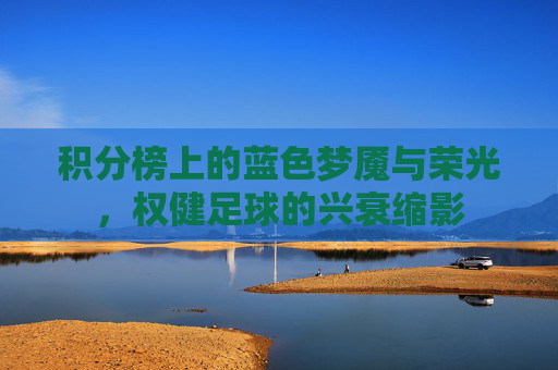 积分榜上的蓝色梦魇与荣光,权健足球的兴衰缩影