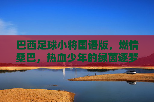 巴西足球小将国语版，燃情桑巴，热血少年的绿茵逐梦之旅