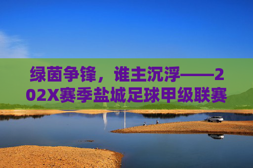 绿茵争锋,谁主沉浮——202X赛季盐城足球甲级联赛积分榜深度解析