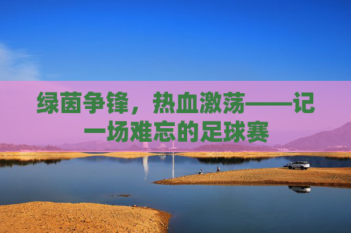 绿茵争锋,热血激荡——记一场难忘的足球赛