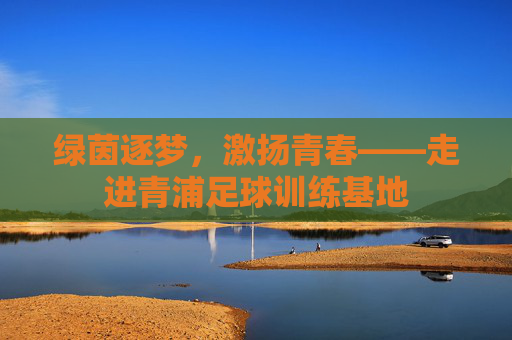 绿茵逐梦,激扬青春——走进青浦足球训练基地