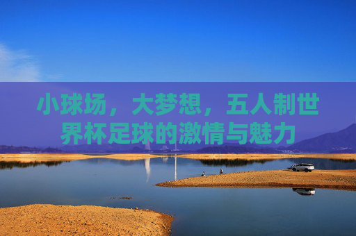 小球场,大梦想,五人制世界杯足球的激情与魅力