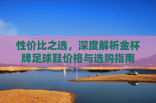 性价比之选,深度解析金杯牌足球鞋价格与选购指南