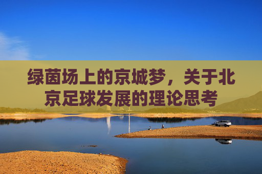 绿茵场上的京城梦,关于北京足球发展的理论思考
