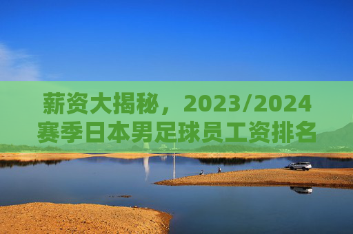 薪资大揭秘,2023/2024赛季日本男足球员工资排名一览