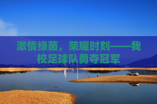 激情绿茵，荣耀时刻——我校足球队勇夺冠军