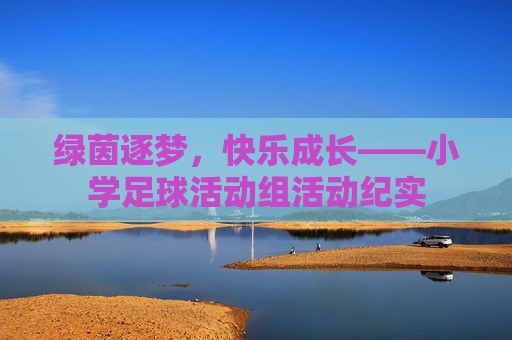绿茵逐梦,快乐成长——小学足球活动组活动纪实