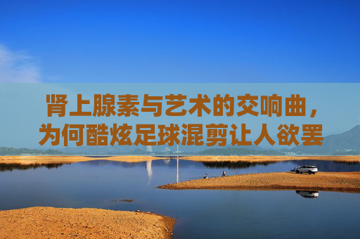 肾上腺素与艺术的交响曲,为何酷炫足球混剪让人欲罢不能