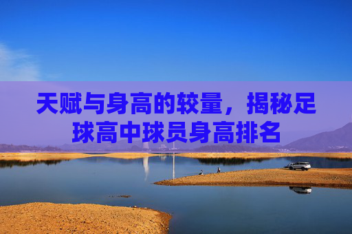 天赋与身高的较量,揭秘足球高中球员身高排名