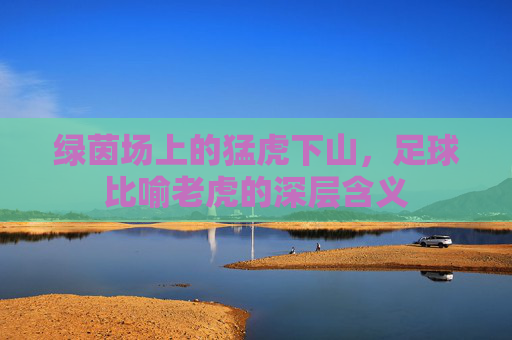 绿茵场上的猛虎下山,足球比喻老虎的深层含义