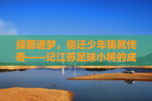 绿茵逐梦，宿迁少年铸就传奇——记江苏足球小将的成长之路