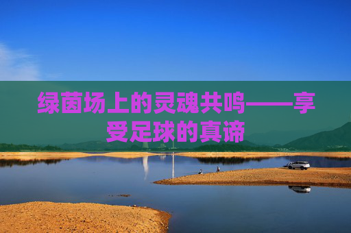 绿茵场上的灵魂共鸣——享受足球的真谛