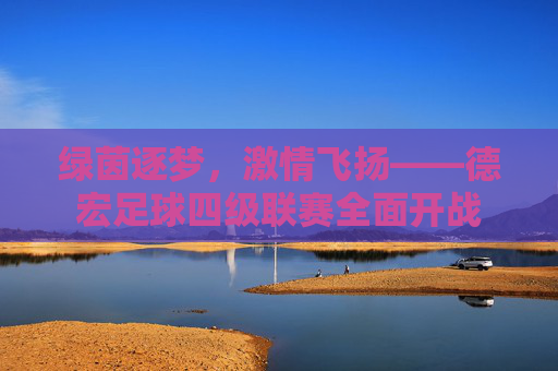 绿茵逐梦,激情飞扬——德宏足球四级联赛全面开战