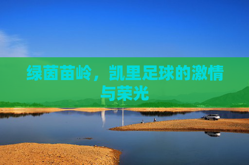 绿茵苗岭，凯里足球的激情与荣光