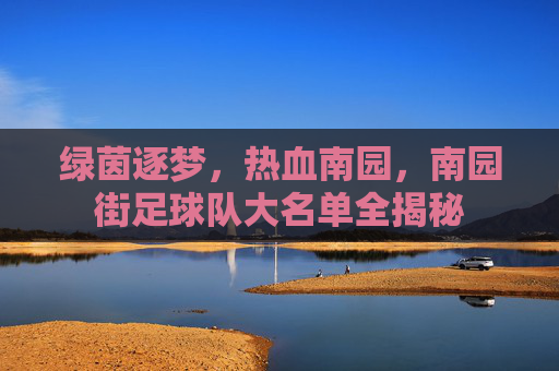 绿茵逐梦,热血南园,南园街足球队大名单全揭秘