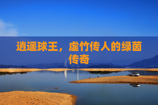 逍遥球王，虚竹传人的绿茵传奇