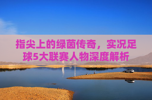 指尖上的绿茵传奇,实况足球5大联赛人物深度解析