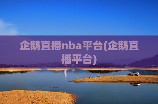 企鹅直播nba平台(企鹅直播平台)