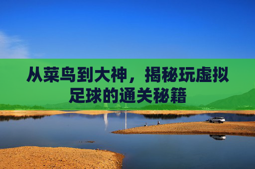 从菜鸟到大神,揭秘玩虚拟足球的通关秘籍