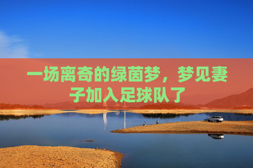 一场离奇的绿茵梦,梦见妻子加入足球队了