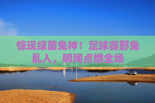 惊现绿茵兔神!足球赛野兔乱入,瞬间点燃全场