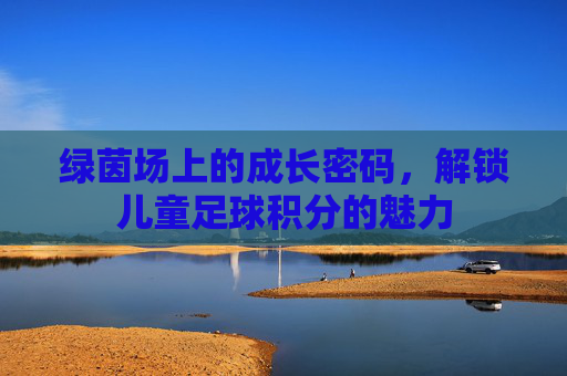 绿茵场上的成长密码,解锁儿童足球积分的魅力
