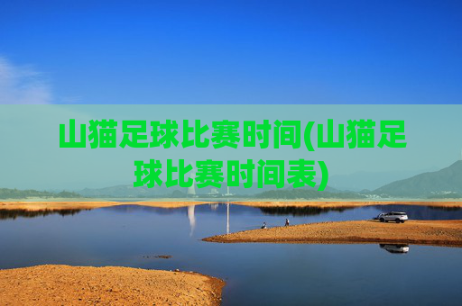 山猫足球比赛时间(山猫足球比赛时间表)