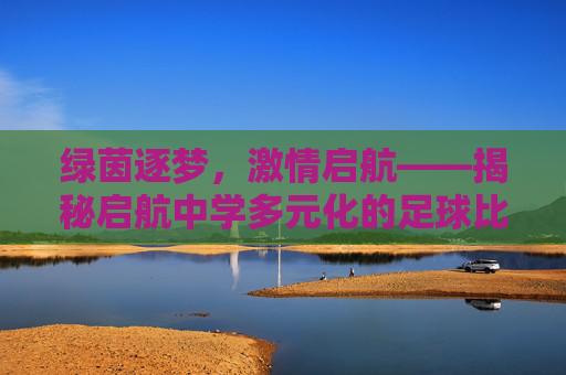 绿茵逐梦,激情启航——揭秘启航中学多元化的足球比赛形式