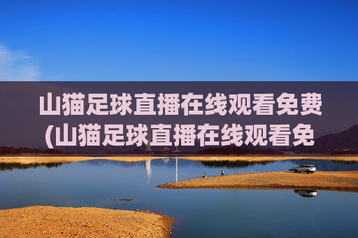 山猫足球直播在线观看免费(山猫足球直播在线观看免费视频)