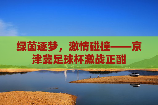 绿茵逐梦,激情碰撞——京津冀足球杯激战正酣