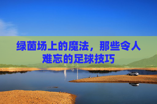 绿茵场上的魔法,那些令人难忘的足球技巧
