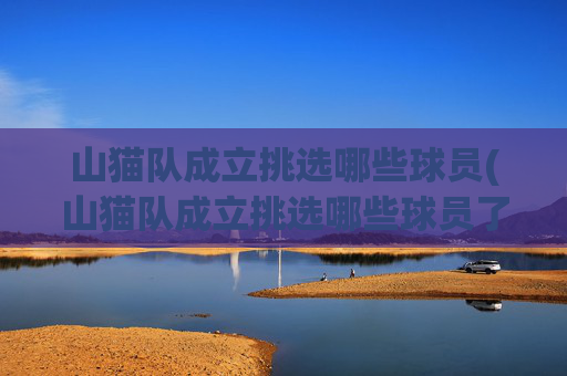 山猫队成立挑选哪些球员(山猫队成立挑选哪些球员了)