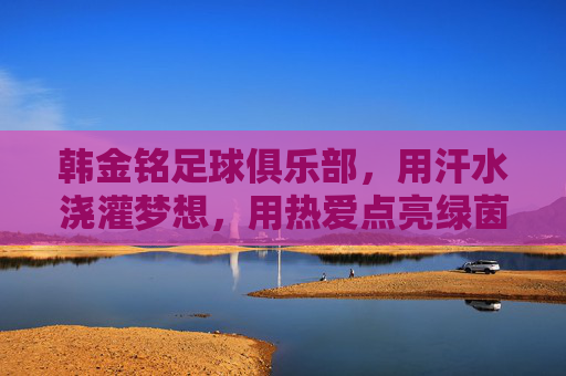 韩金铭足球俱乐部,用汗水浇灌梦想,用热爱点亮绿茵
