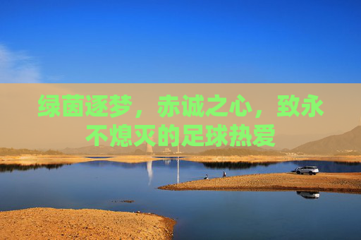 绿茵逐梦，赤诚之心，致永不熄灭的足球热爱