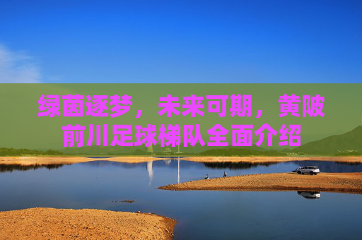 绿茵逐梦,未来可期,黄陂前川足球梯队全面介绍