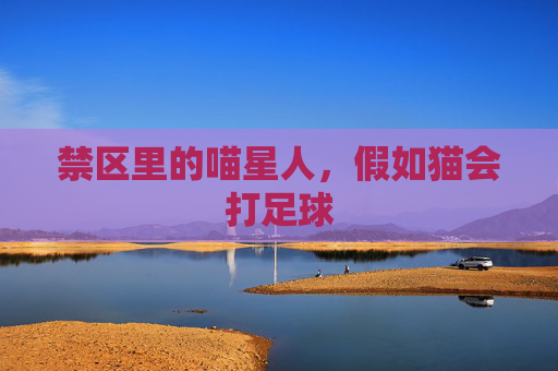 禁区里的喵星人，假如猫会打足球