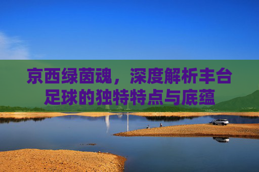 京西绿茵魂,深度解析丰台足球的独特特点与底蕴