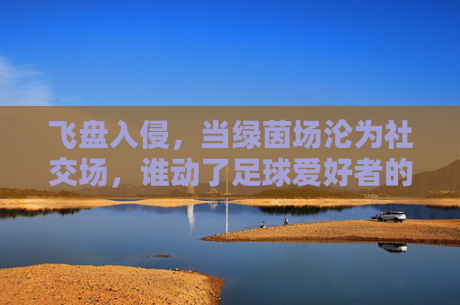 飞盘入侵,当绿茵场沦为社交场,谁动了足球爱好者的地盘?