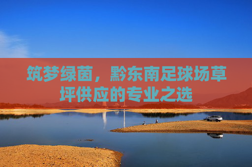 筑梦绿茵,黔东南足球场草坪供应的专业之选