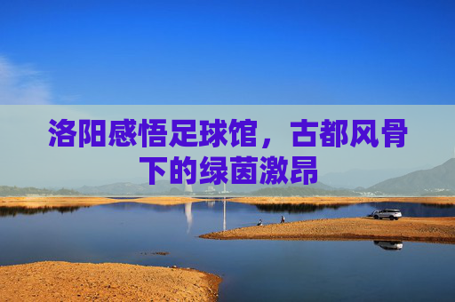 洛阳感悟足球馆，古都风骨下的绿茵激昂