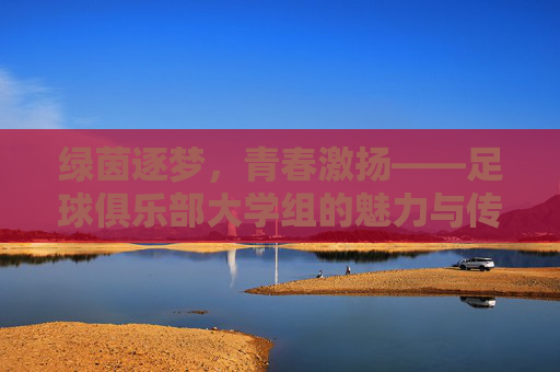 绿茵逐梦,青春激扬——足球俱乐部大学组的魅力与传承