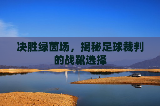 决胜绿茵场,揭秘足球裁判的战靴选择