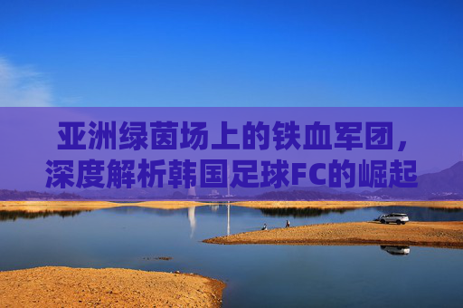 亚洲绿茵场上的铁血军团，深度解析韩国足球FC的崛起与全球影响力