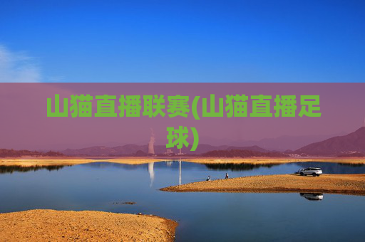 山猫直播联赛(山猫直播足球)