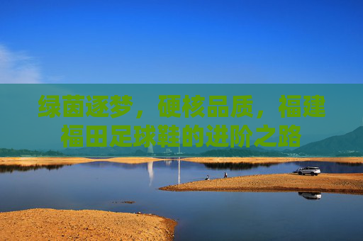 绿茵逐梦,硬核品质,福建福田足球鞋的进阶之路