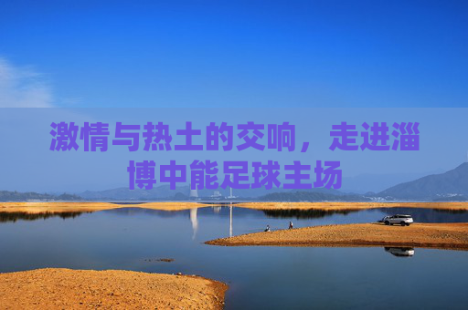 激情与热土的交响,走进淄博中能足球主场