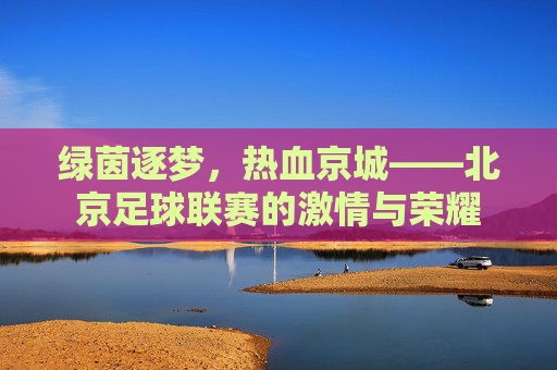 绿茵逐梦，热血京城——北京足球联赛的激情与荣耀