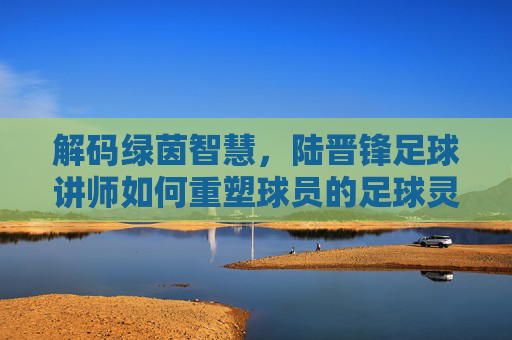 解码绿茵智慧,陆晋锋足球讲师如何重塑球员的足球灵魂