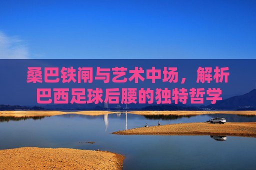 桑巴铁闸与艺术中场,解析巴西足球后腰的独特哲学